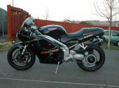 1997 Triumph Daytona T595 photo